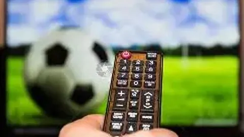 PA真人 产品 100517 lhg