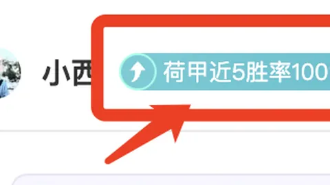 曼联错失任命图赫尔为英足总一重要失误。