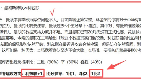 弗拉门戈南美焦点战 专家期号推荐分析